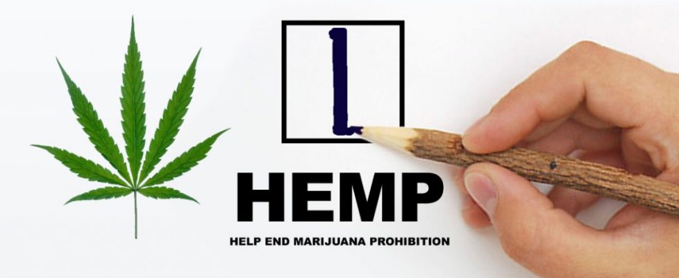 HEMP PARTY CAMPAIGN LAUNCH ON MONDAY IN LISMORE