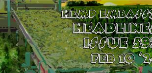 Hemp Embassy Headlines Issue 597 Feb 10 2024