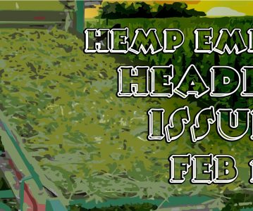 Hemp Embassy Headlines Issue 597 Feb 10 2024