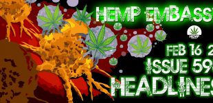 Hemp Embassy Headlines Issue 598 Feb 16 2024