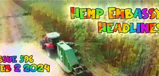 Hemp Embassy Headlines Issue 596 Feb 2 2024